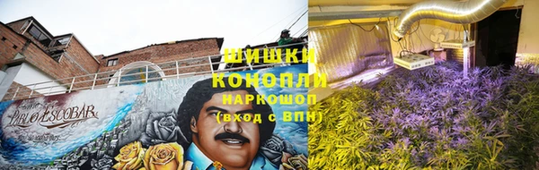 прущая мука Богданович